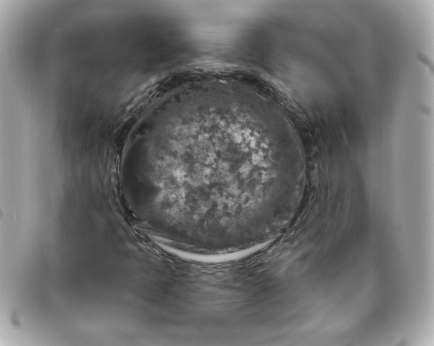X0000096471397200802071846