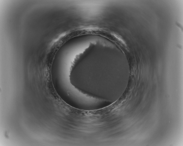 X0000096471398200802071846