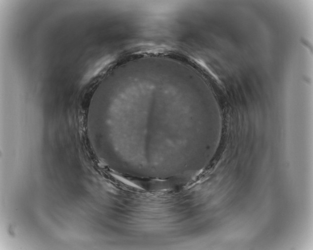 X0000096471399200802071846