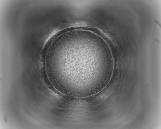 X0000096471400200802071846