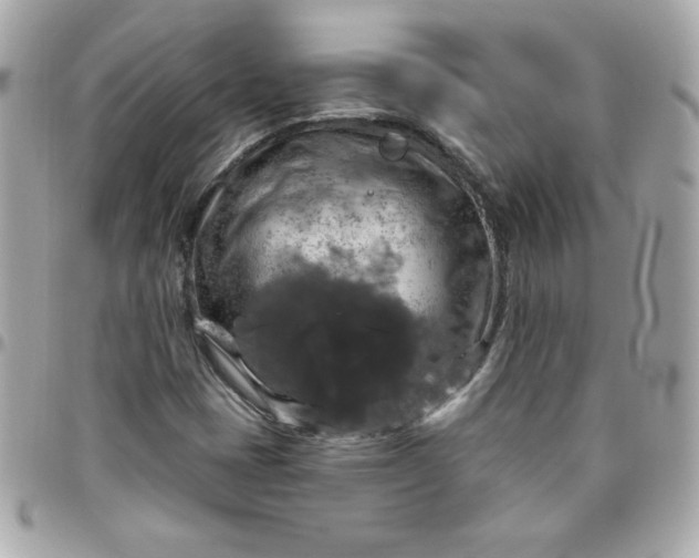 X0000096471401200802071846