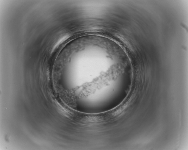 X0000096471402200802071846
