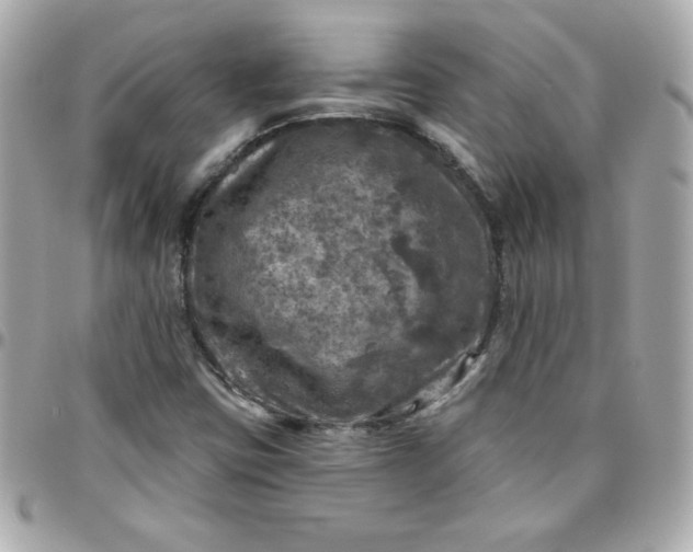 X0000096471403200802071846