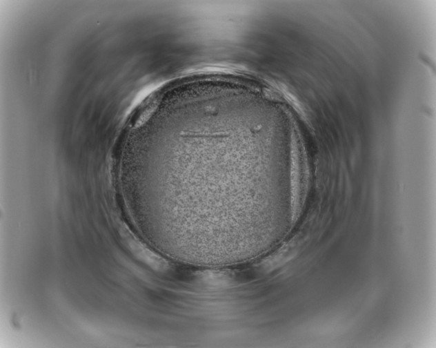 X0000096471404200802071846