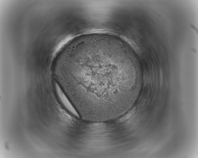 X0000096471406200802071846