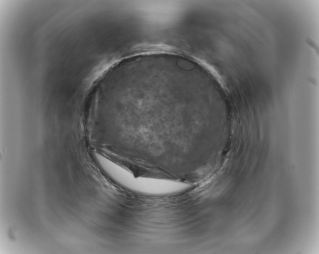 X0000096471407200802071846