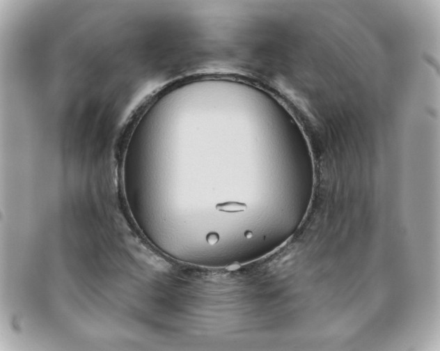 X0000096471408200802071846