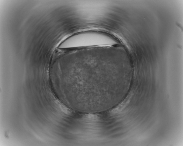 X0000096471409200802071846