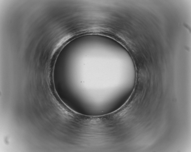 X0000096471410200802071846