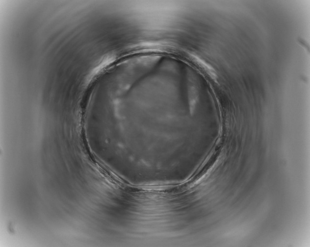 X0000096471411200802071846