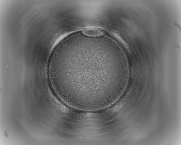 X0000096471412200802071846