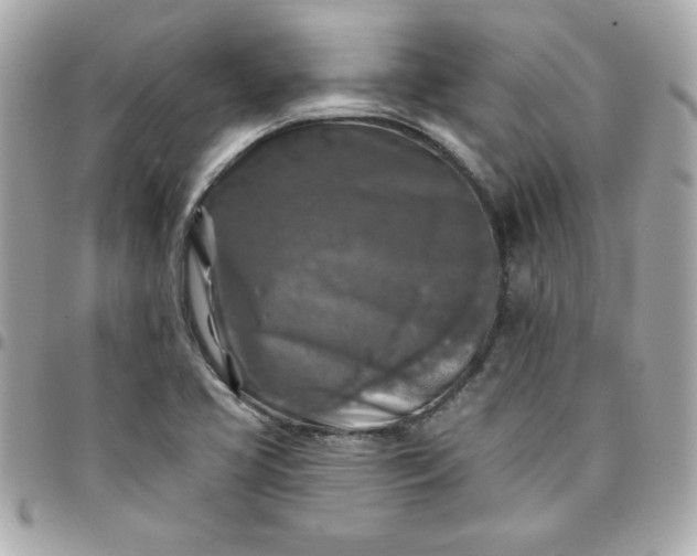 X0000096471413200802071846