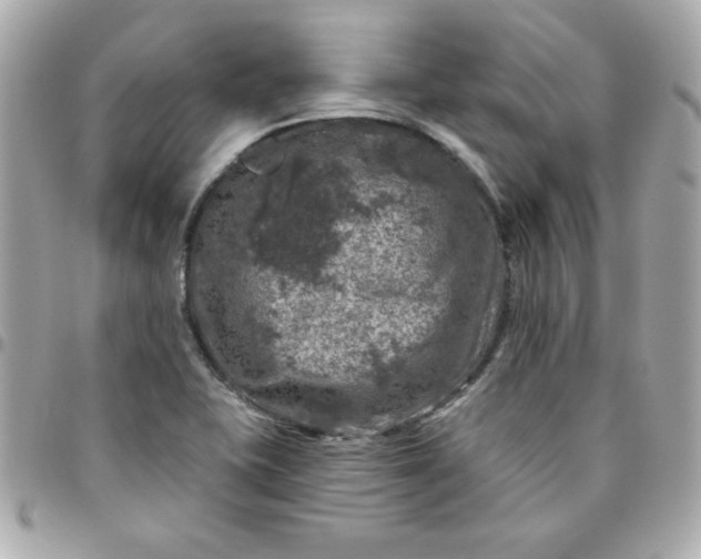 X0000096471415200802071846