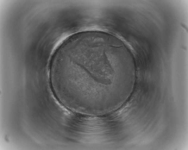 X0000096471416200802071846