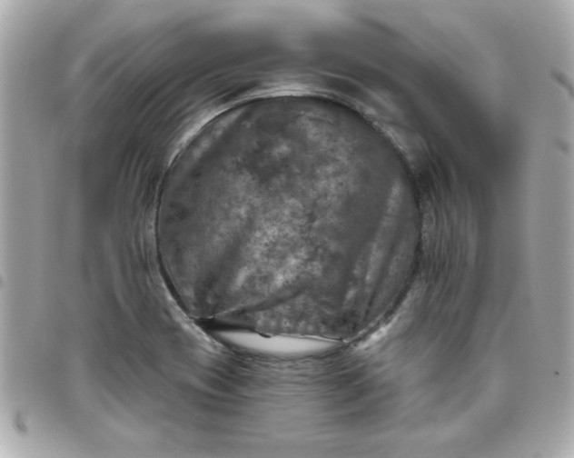 X0000096471417200802071846