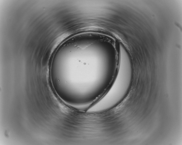 X0000096471418200802071846