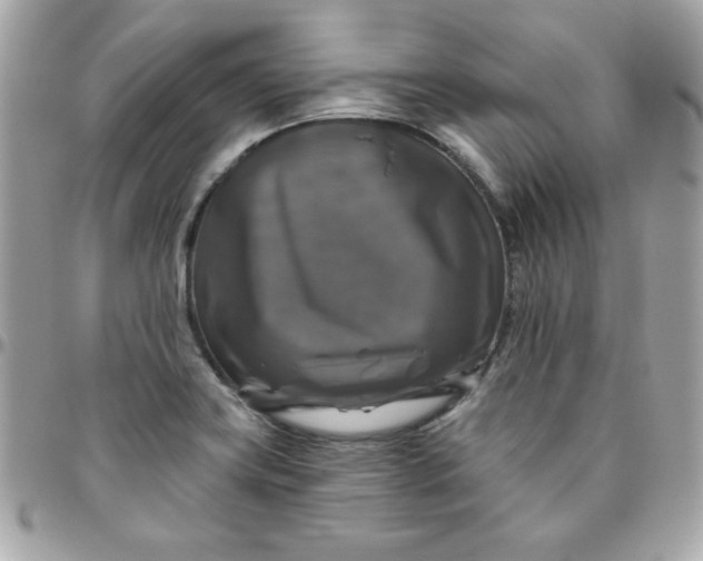 X0000096471419200802071846