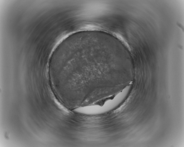 X0000096471421200802071846