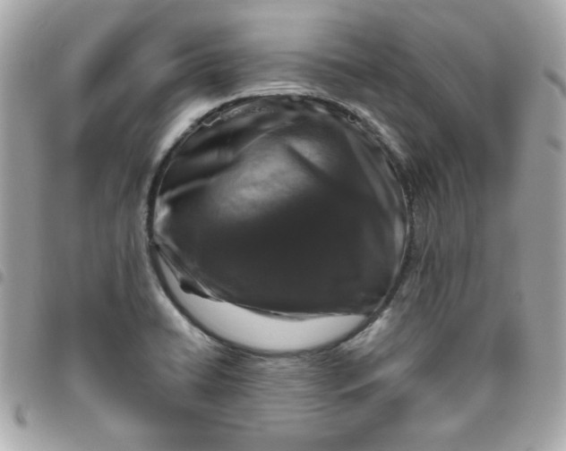 X0000096471422200802071847