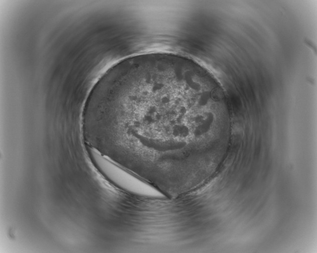 X0000096471423200802071847