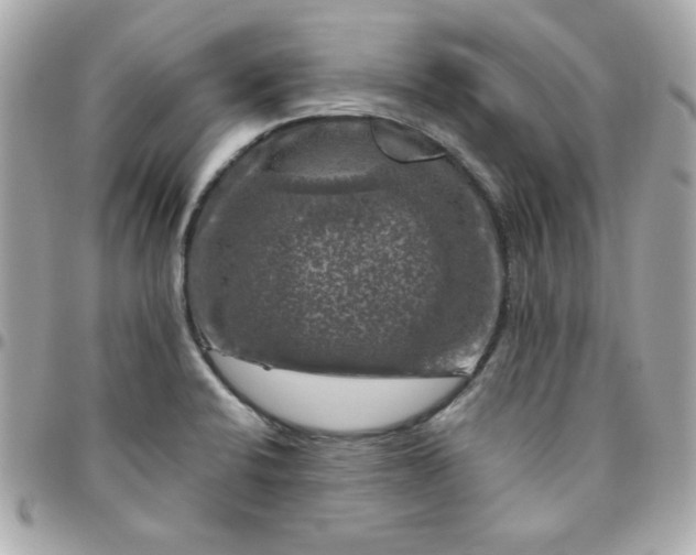 X0000096471424200802071847