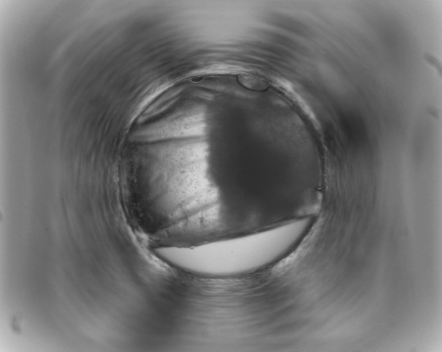 X0000096471425200802071847