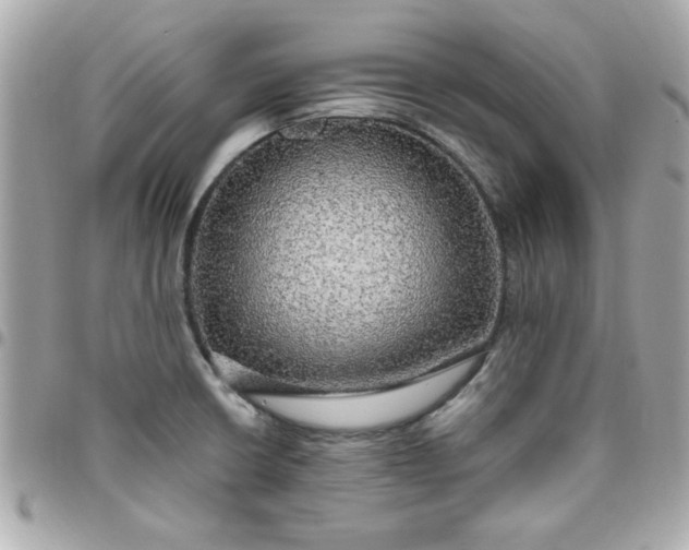 X0000096471426200802071847