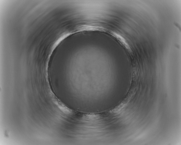 X0000096471427200802071847