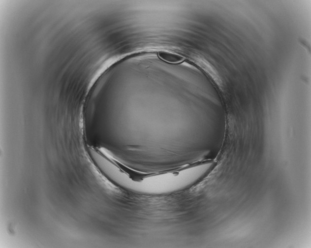 X0000096471428200802071847