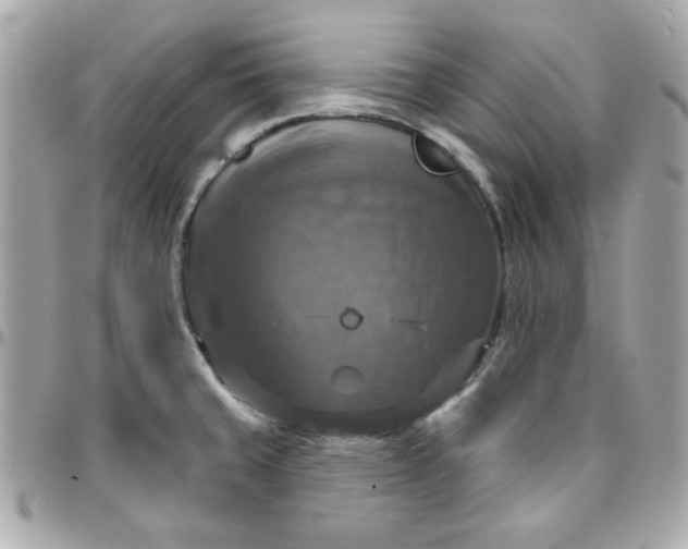 X0000096471429200802071847