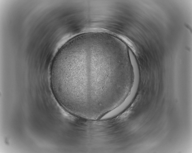 X0000096471430200802071847