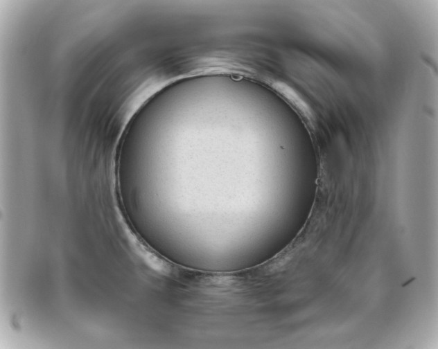 X0000096471431200802071847