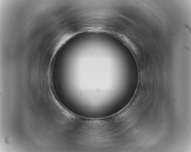 X0000096471432200802071847