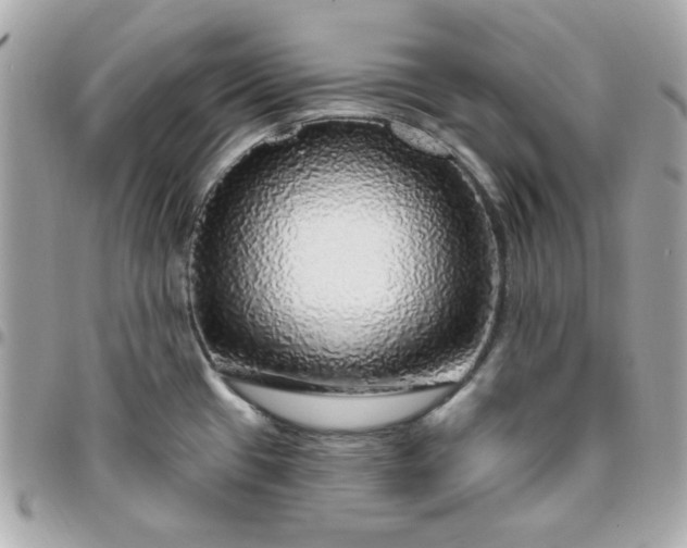 X0000096471433200802071847