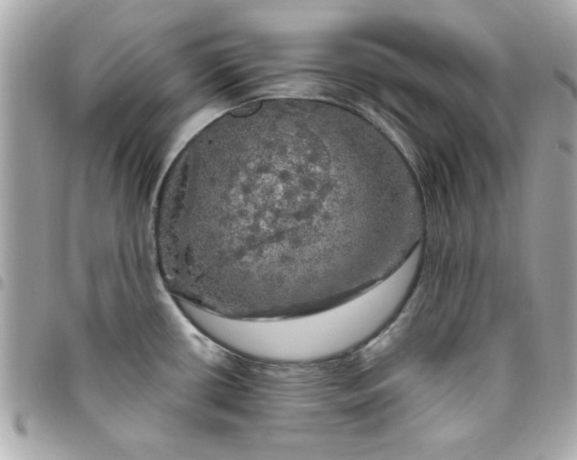 X0000096471434200802071847