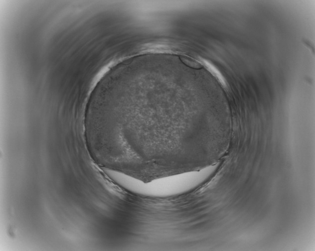 X0000096471435200802071847