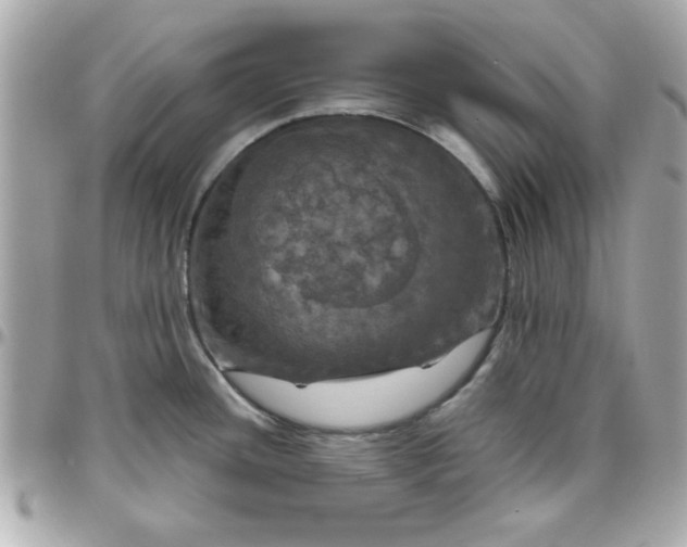 X0000096471436200802071847