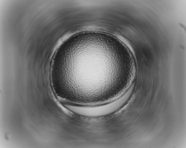 X0000096471437200802071847