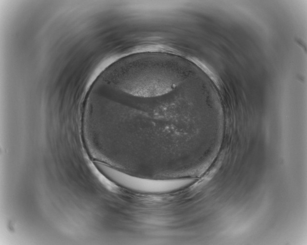 X0000096471438200802071847