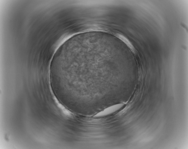 X0000096471439200802071847