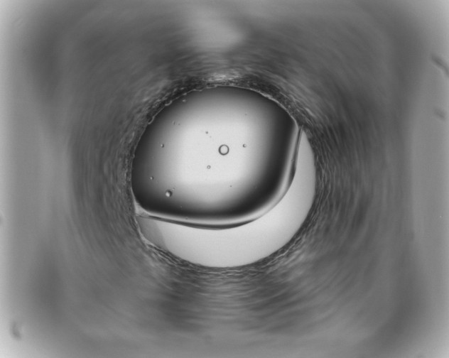 X0000096471441200802071846