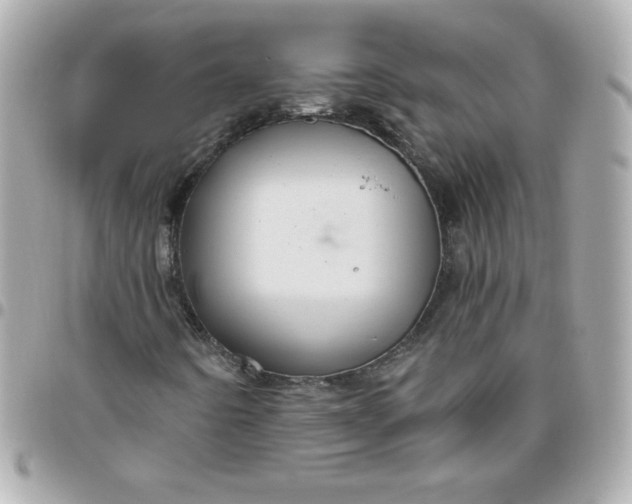 X0000096471442200802071846