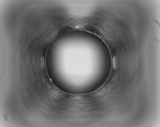 X0000096471443200802071846