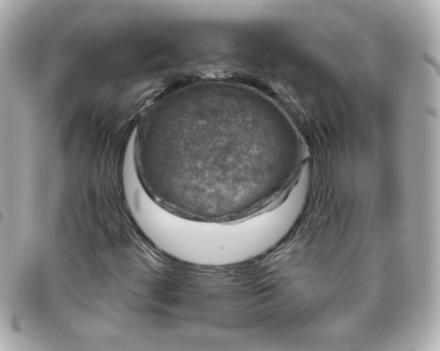 X0000096471444200802071846
