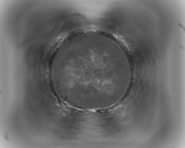 X0000096471445200802071846