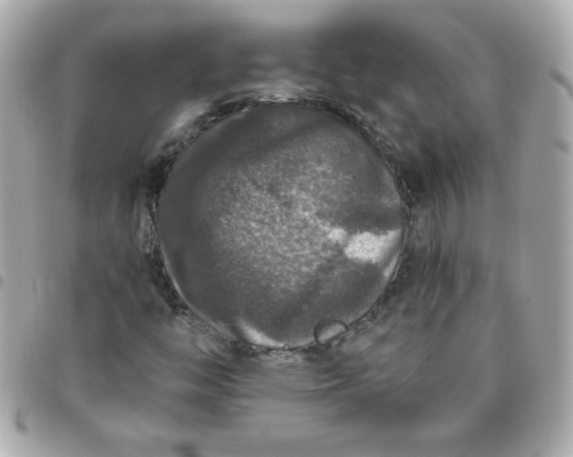 X0000096471446200802071846