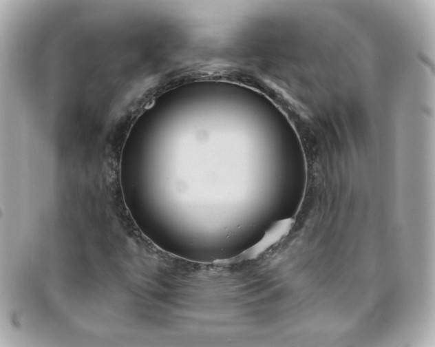 X0000096471447200802071846