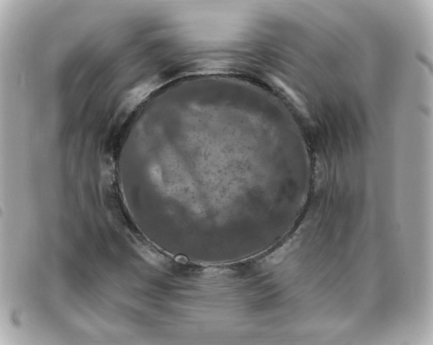 X0000096471449200802071846