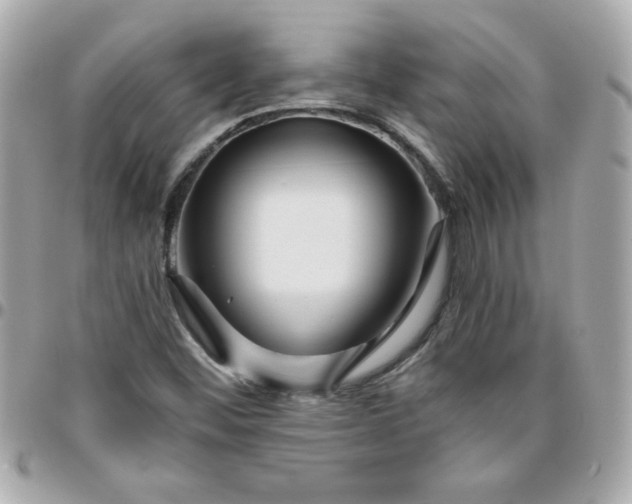 X0000096471452200802071846