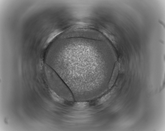 X0000096471453200802071846